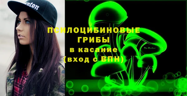 дживик Осташков